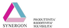Synergon - Produttivit� Redditivit� Solvibilit�